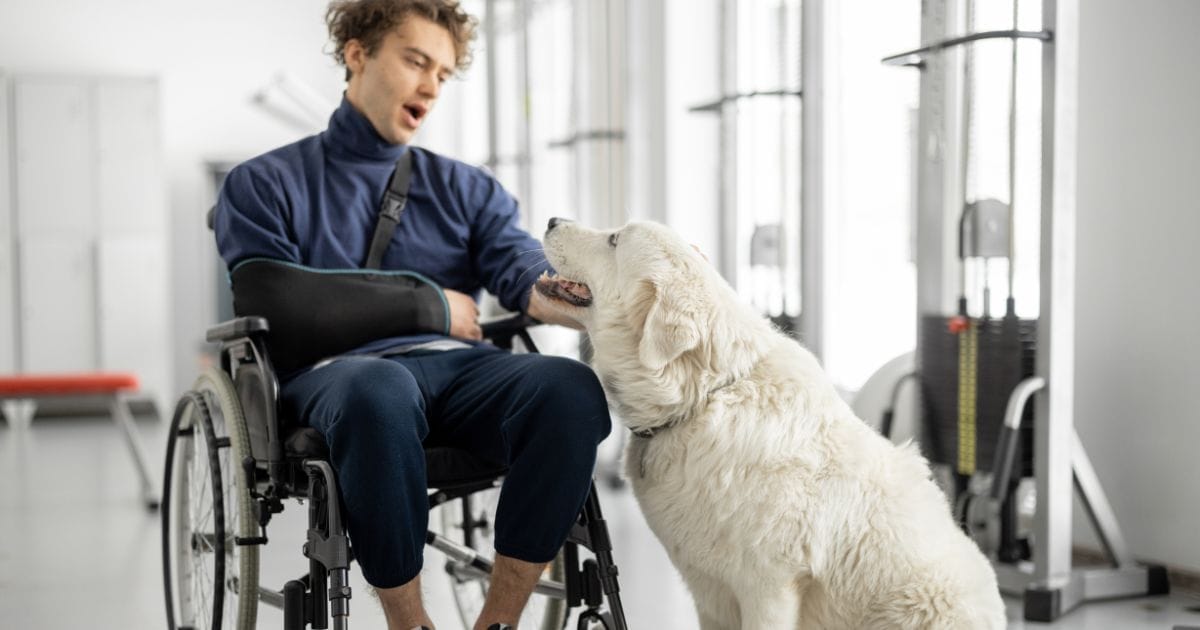 Transformed lives: The joy of a rescued dog meeting a rehabilitated soul.